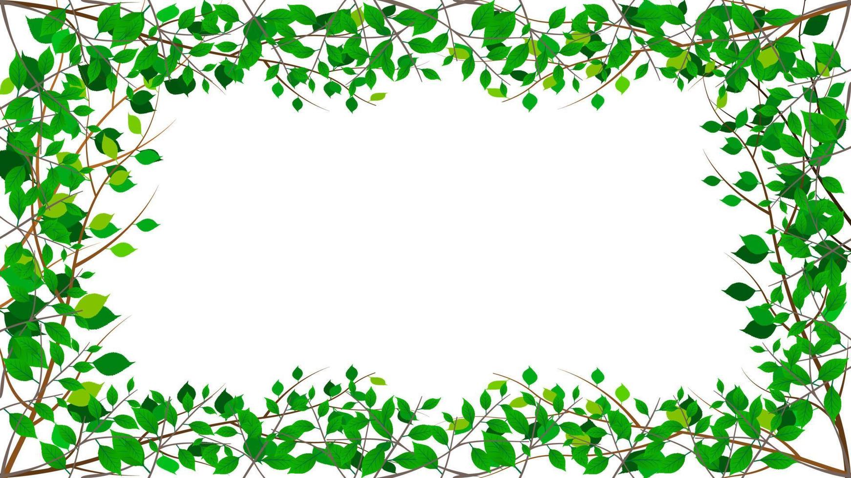 branches d'arbres avec des feuilles vertes border frame fond blanc isolé vecteur