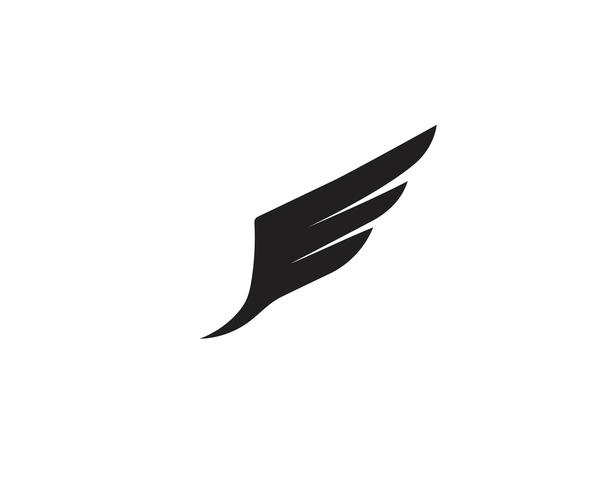 Falcon Logo Template vecteur