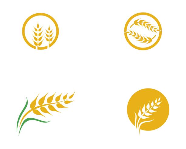 Vecteur de blé d&#39;agriculture