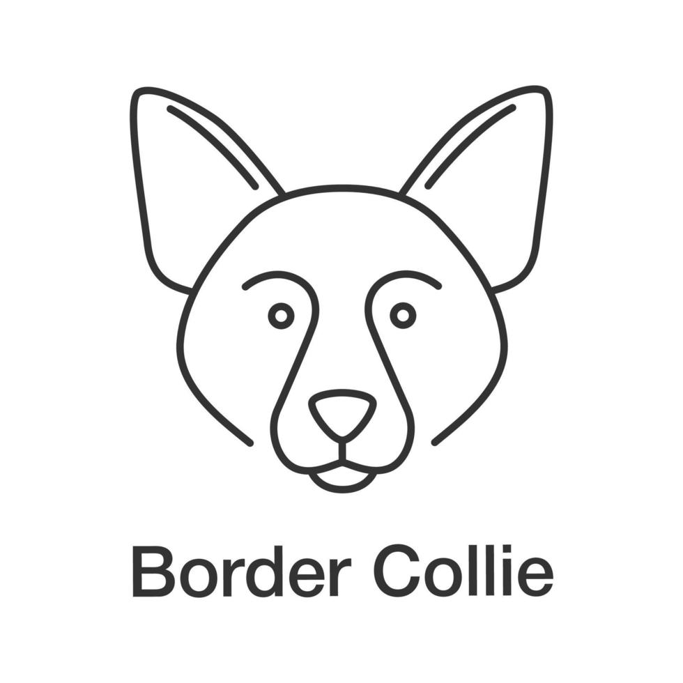 icône linéaire border collie vecteur