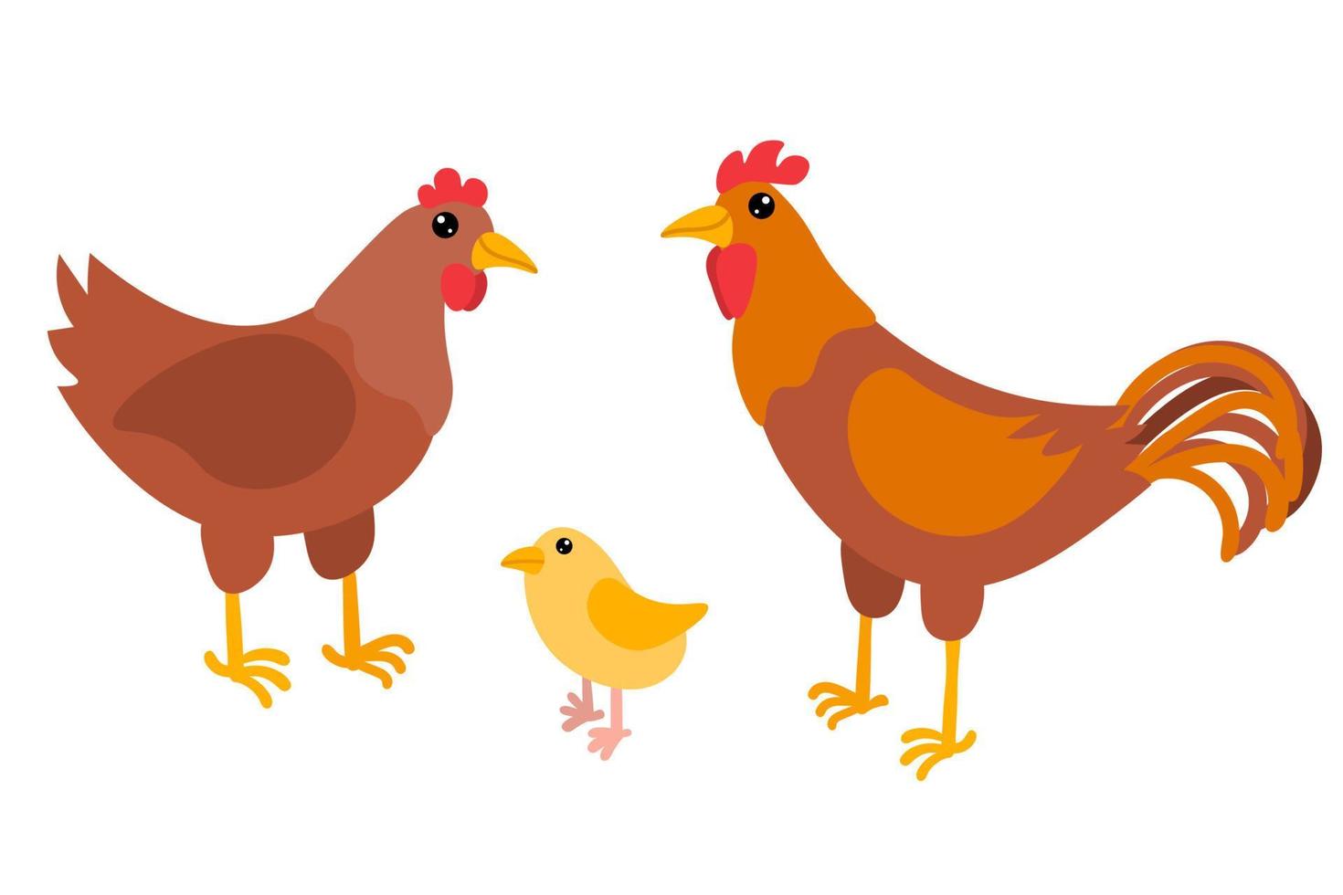 poulet de dessin animé, poussin et coq. famille d'oiseaux dans un style plat isolé sur fond blanc. animaux de la ferme. vecteur