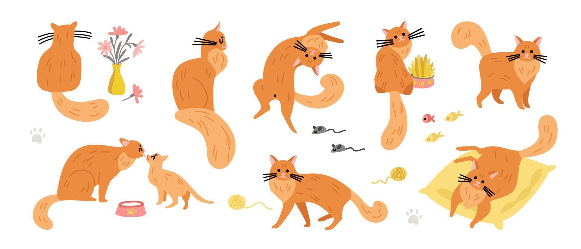 collection d'icônes de chats au gingembre vecteur