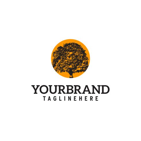 chêne avec soleil orange derrière Création de logo vecteur
