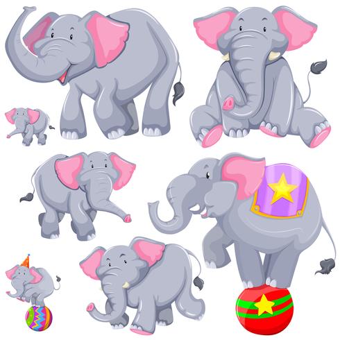 Éléphant gris dans différentes actions vecteur