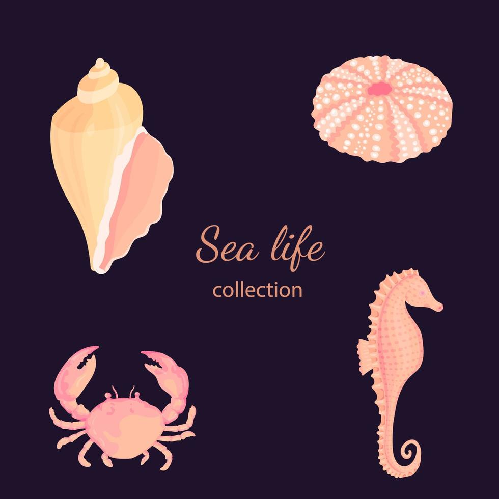 ensemble de vecteurs de coquillages. collection de croquis de dessins animés de mollusques, coquillages, étoiles de mer, oursins, hippocampes, hippocampes, crabes, corail. Récif de corail branché sous la collection de l'eau isolated on white vecteur