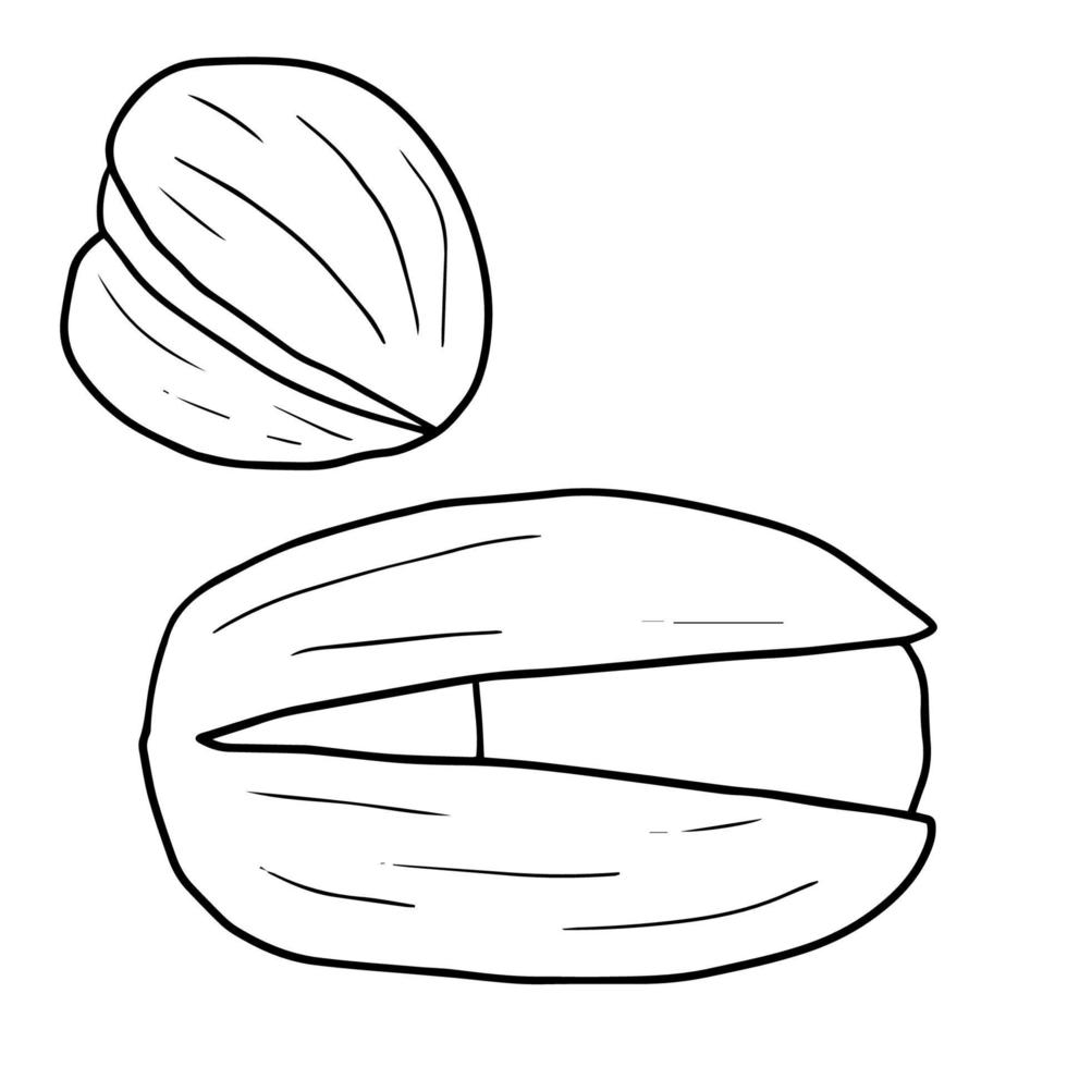 jeu de pistaches doodle mignon isolé sur fond blanc. collecte de noix. vecteur