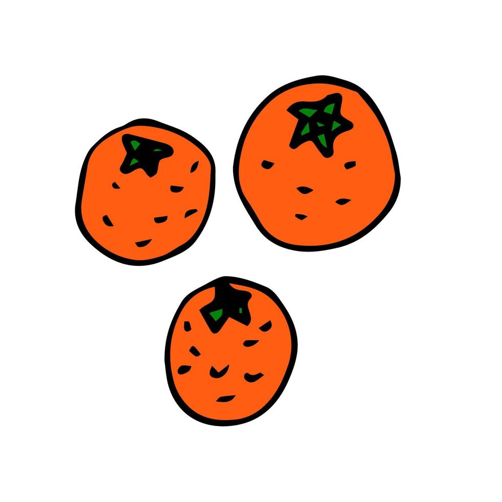 dessin animé doodle oranges linéaires isolés sur fond blanc. vecteur