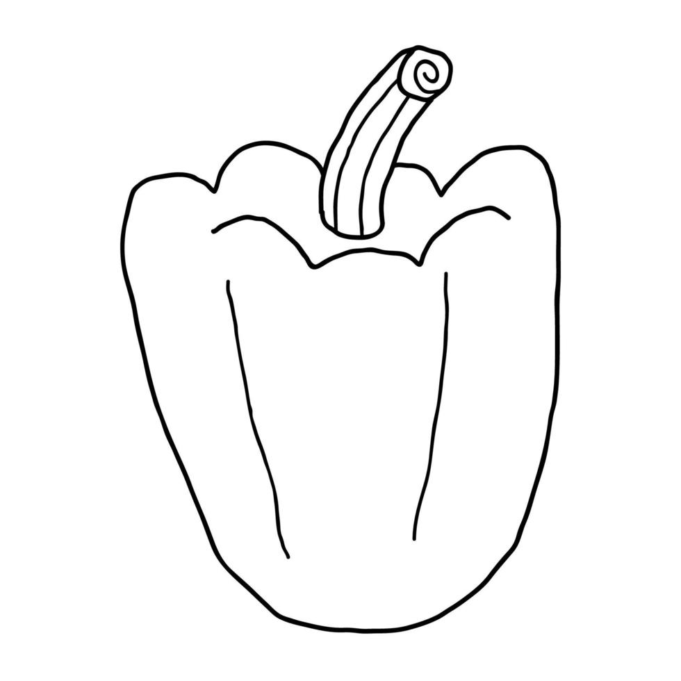 dessin animé doodle poivre linéaire isolé sur fond blanc. vecteur