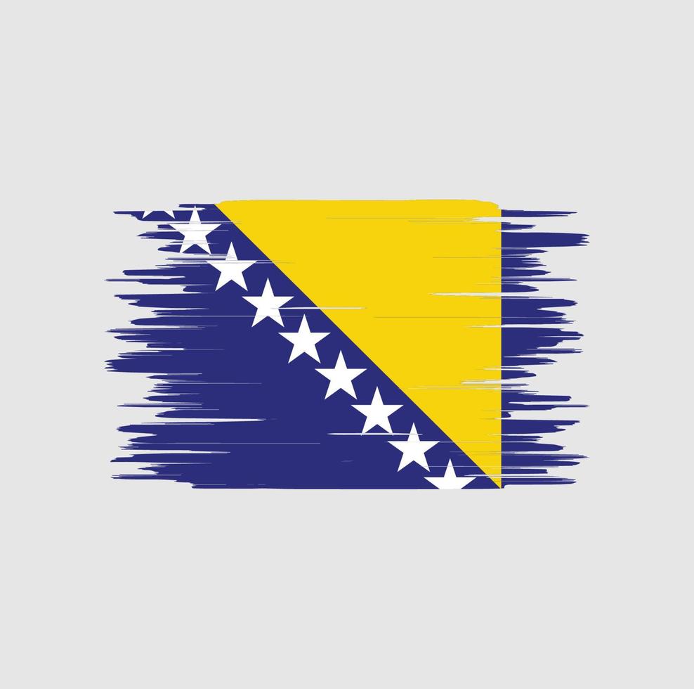 drapeau bosnie herzégovine coup de pinceau, drapeau national vecteur