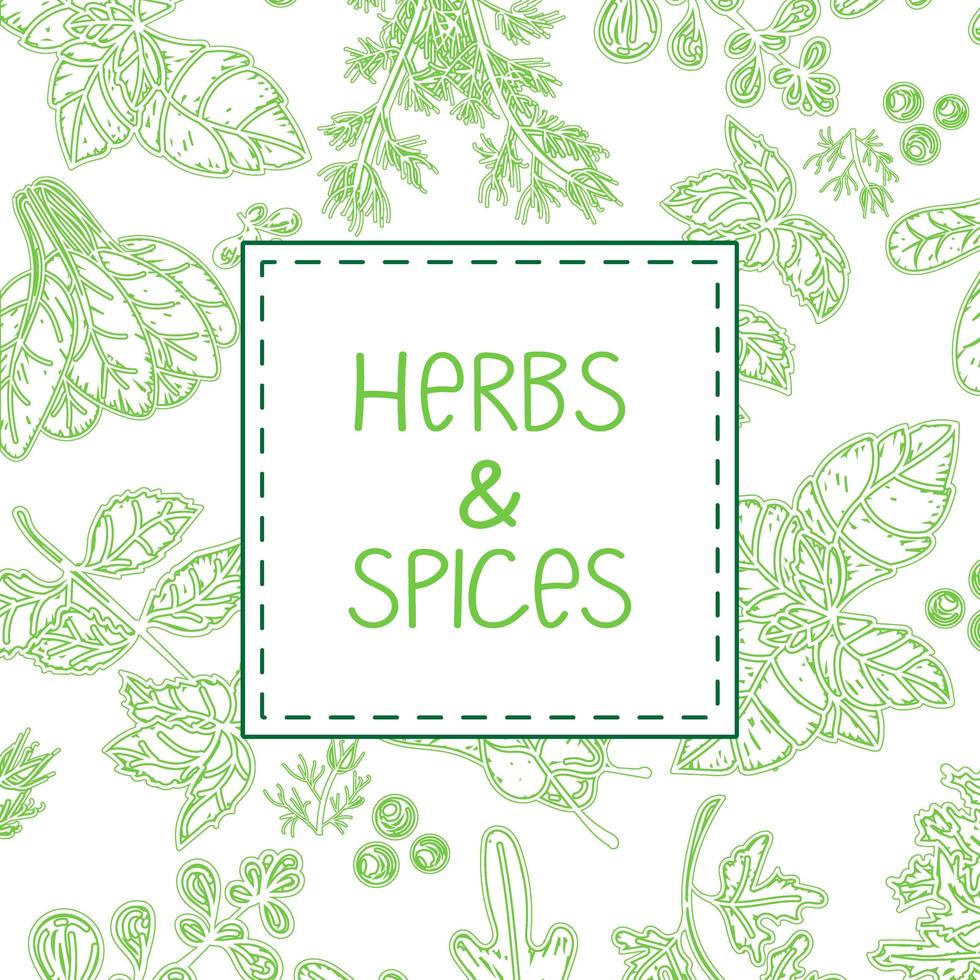 herbes et épices, illustrations vectorielles dessinées à la main. croquis de nourriture dessiné à la main. plantes aromatiques. conception d'emballage. style de croquis. conception de silhouette d'épices et d'herbes. dans une couleur verte tendance. vecteur