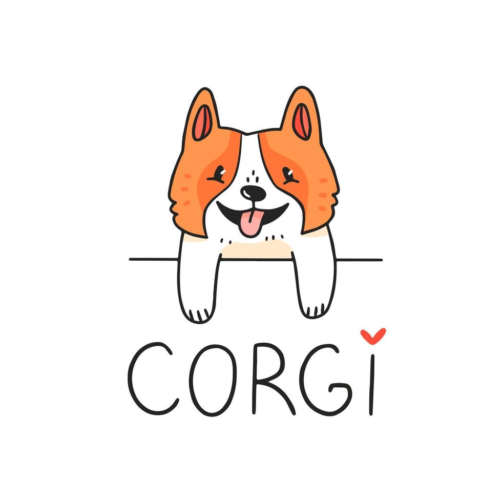 mignon personnage de chien corgi regardant derrière un obstacle avec du texte. illustration vectorielle. vecteur