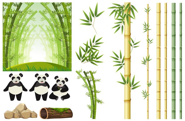 Ensemble de panda et de bambou vecteur