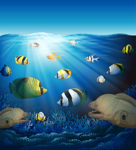 Scène sous-marine avec des poissons et des algues vecteur