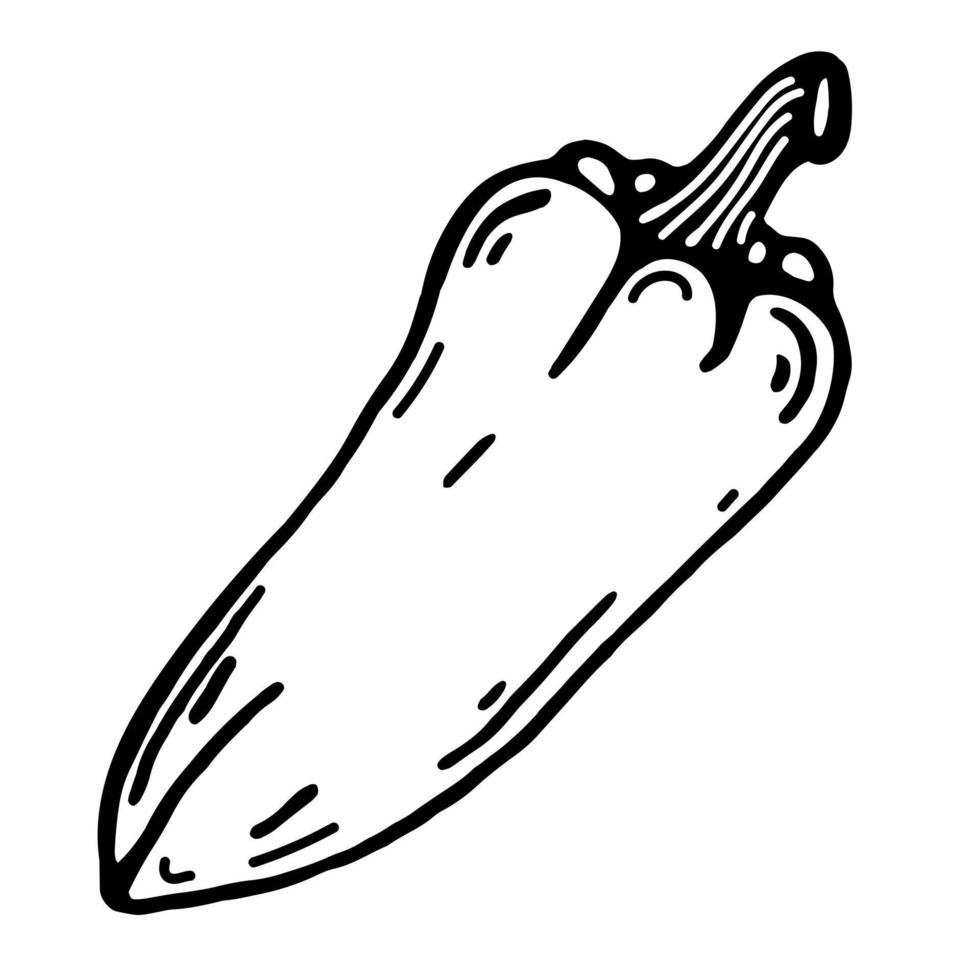 icône de vecteur de poivron. illustration isolée sur blanc. griffonnage dessiné à la main. contour noir du légume, croquis. poivrons bio naturels. impression monochrome pour la conception de produits alimentaires.
