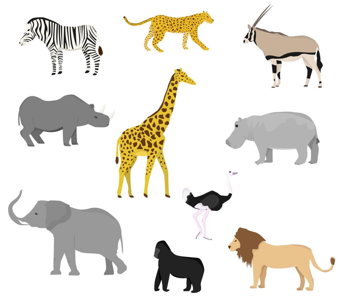 sertie d'animaux sauvages africains. style plat. girafe, éléphant, hippopotame, rhinocéros, zèbre, singe, orang-outan, antilope, guépard, lion, léopard, autruche. vecteur