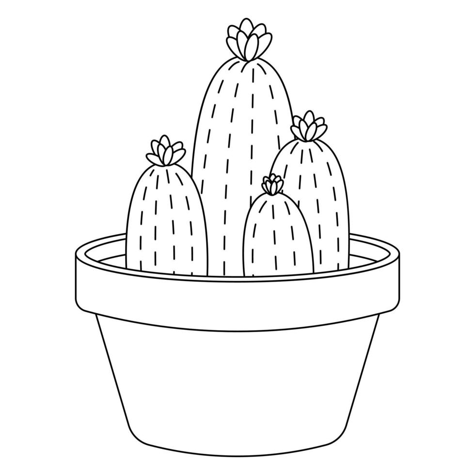 vecteur de doodle de cactus. plantes de cactus dans un style dessin animé. dessin au trait sans remplissage. plante de cactus dans un pot de fleurs. plantes d'intérieur en pot. isolé sur fond blanc.