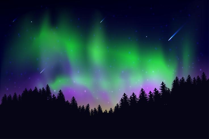 Aurora C&#39;est arrivé dans le ciel la nuit avec les étoiles du ciel vecteur