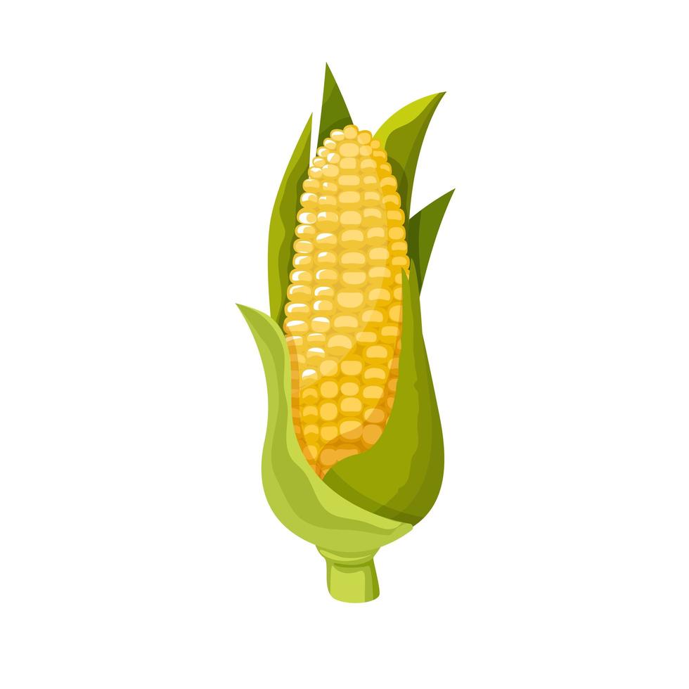 maïs icône plate jaune nourriture illustration naturelle logo organique vecteur
