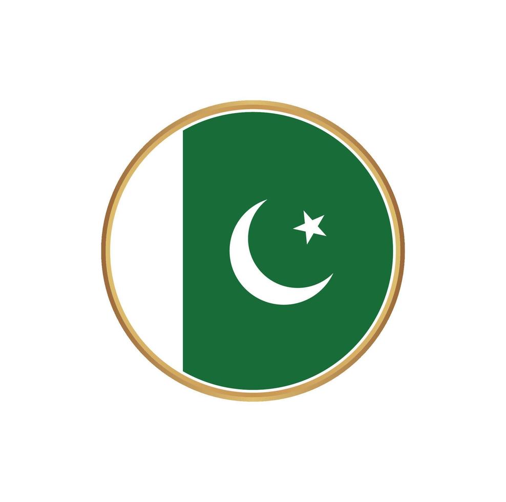 drapeau du pakistan avec cadre doré vecteur