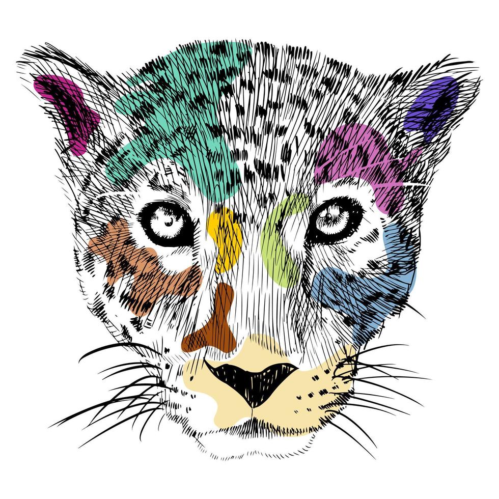 dessinés à la main de têtes de guépard colorées vecteur