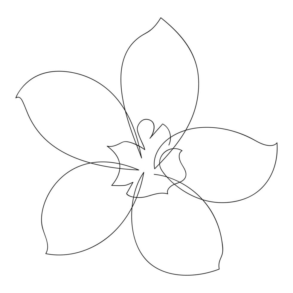 dessin de silhouette de conception d'une ligne de fleurs. illustration vectorielle vecteur