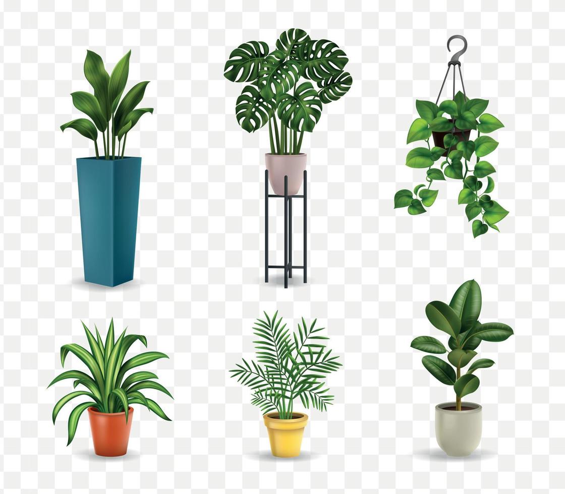 plantes d'intérieur réalistes vecteur