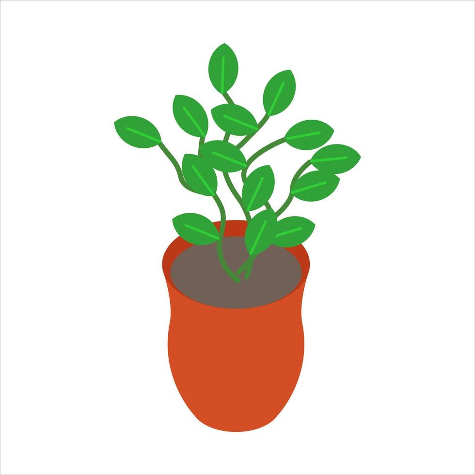 plante d'intérieur dans le pot illustration vectorielle eps. dix vecteur