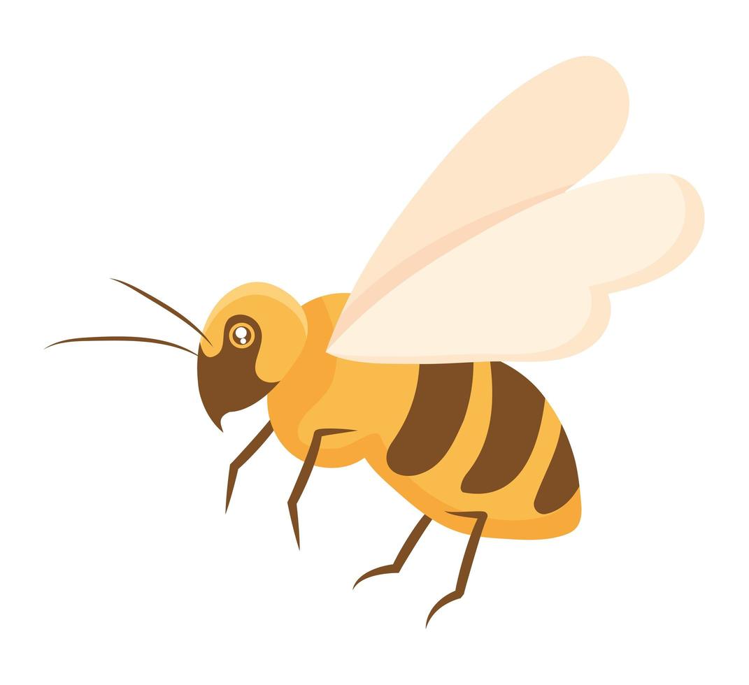 belle conception d'abeille vecteur