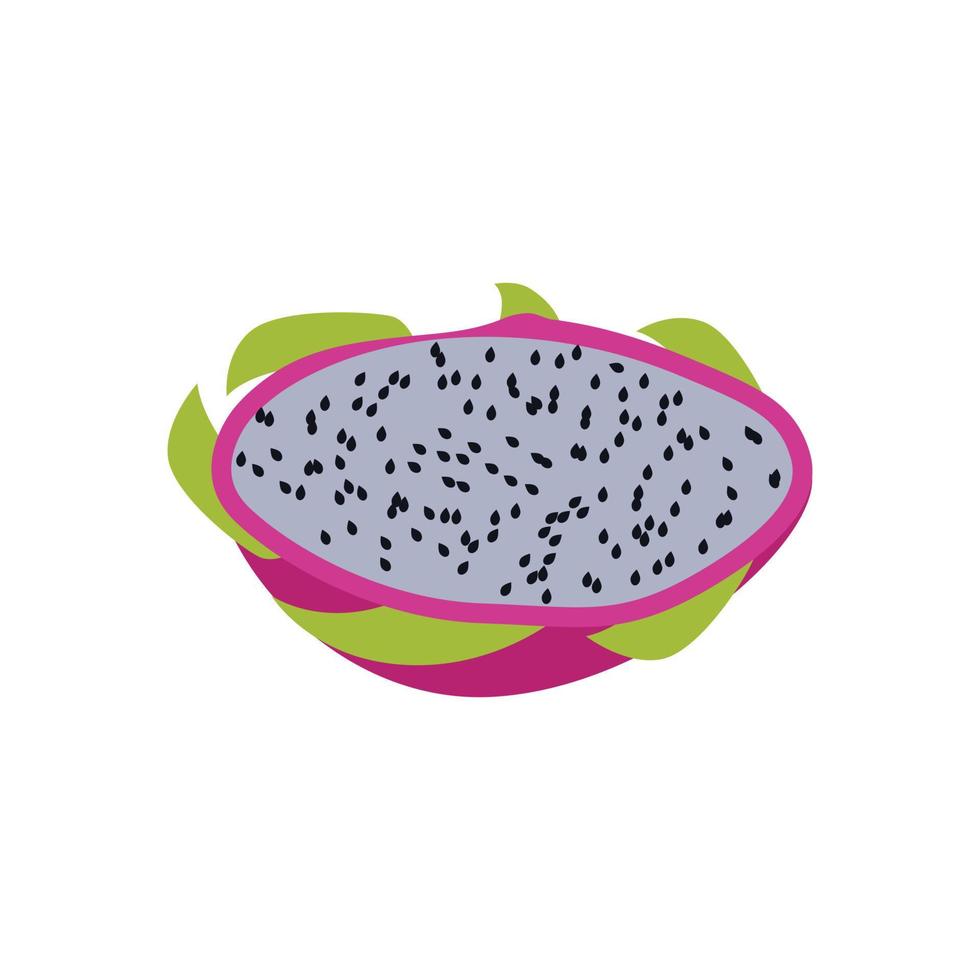 fruit du dragon. pitaya. tropical sur fond blanc. vecteur. dans le style du dessin à la main. vecteur