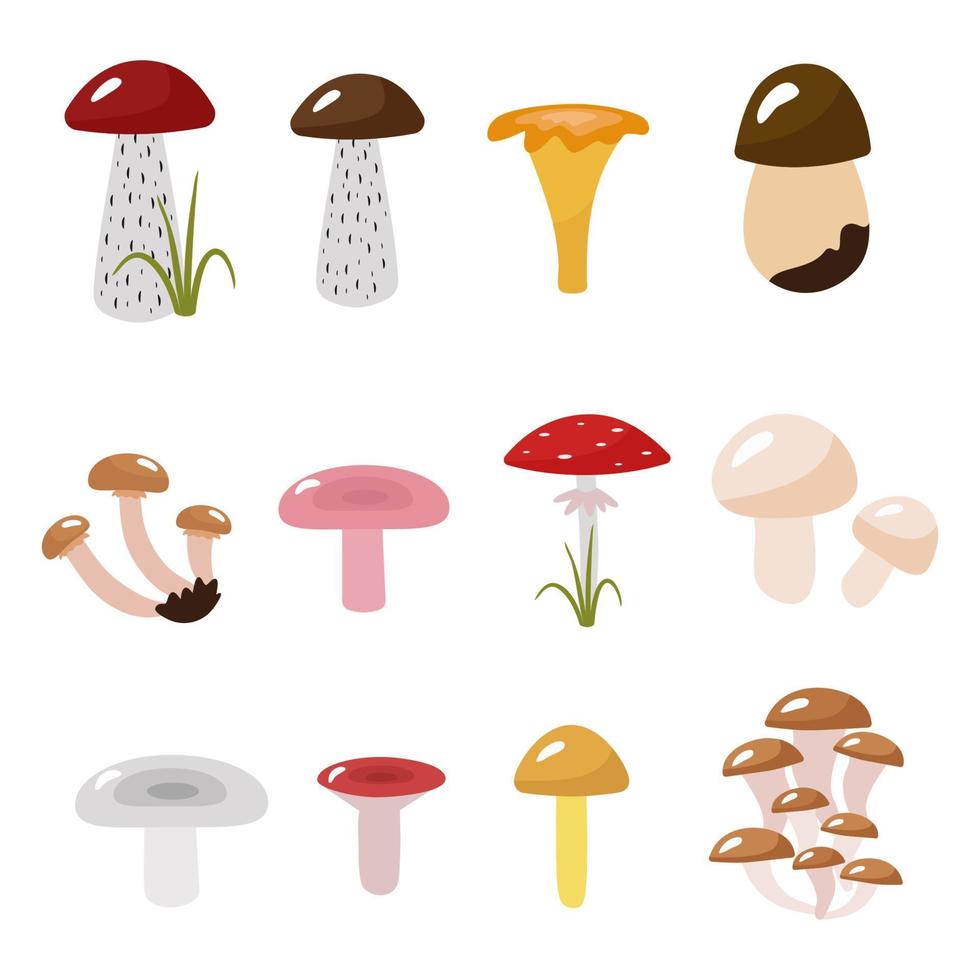 collection d'automne de champignons. images de dessins animés podosinovik, podberezovik, syroezhka, gingembre, amanite tue-mouche. illustration vectorielle isolée. pour le design ou la décoration vecteur