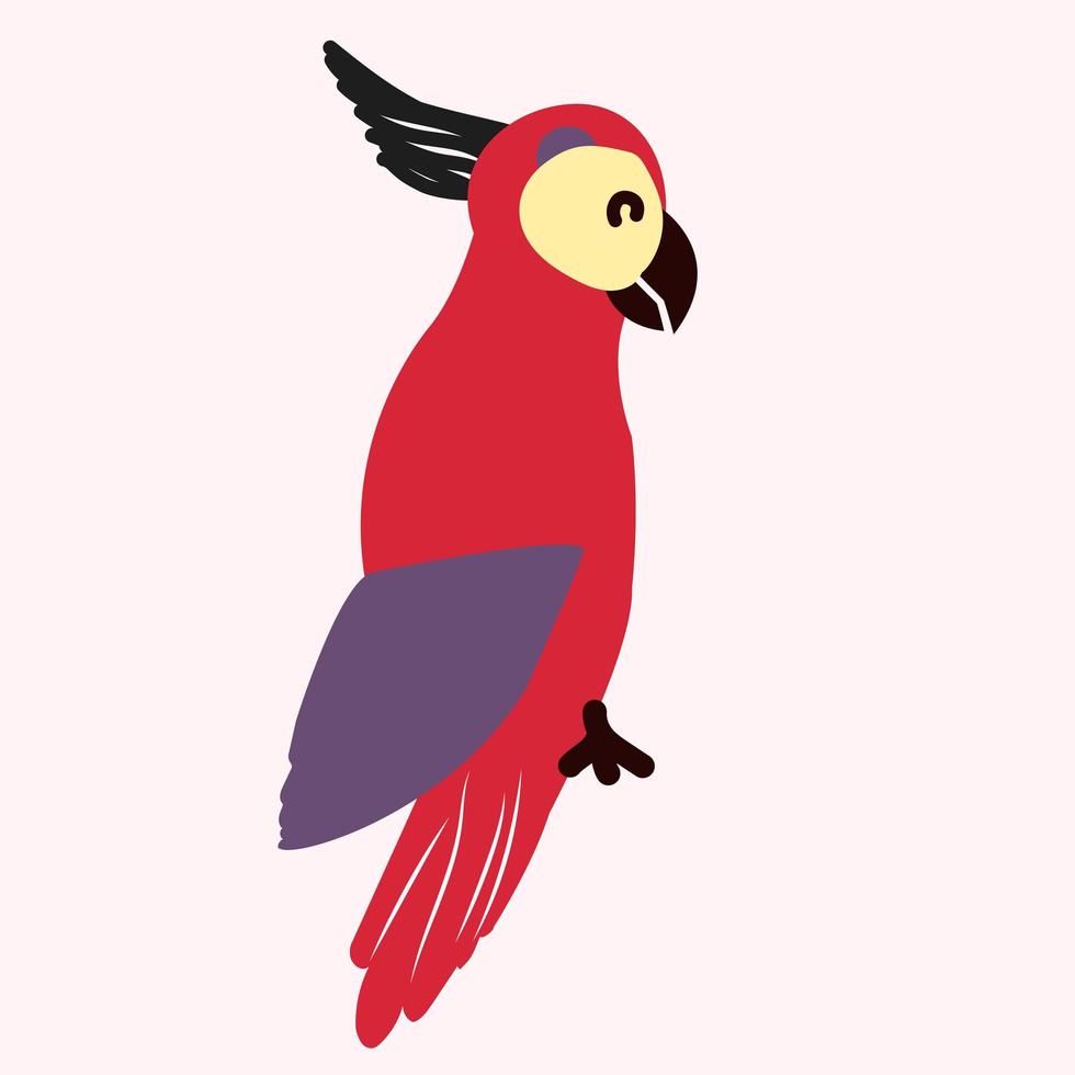 perroquet indien oriental coloré illustration vectorielle vecteur