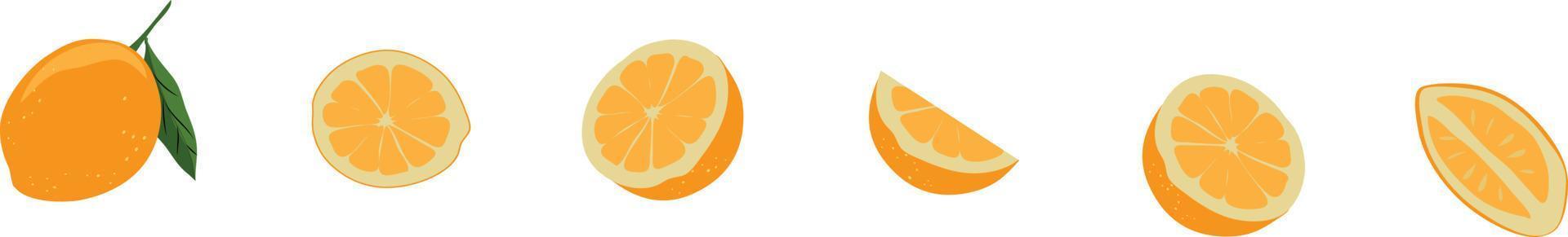 illustration vectorielle orange, icône orange de fruits. Orange fraîche isolé sur fond blanc vecteur