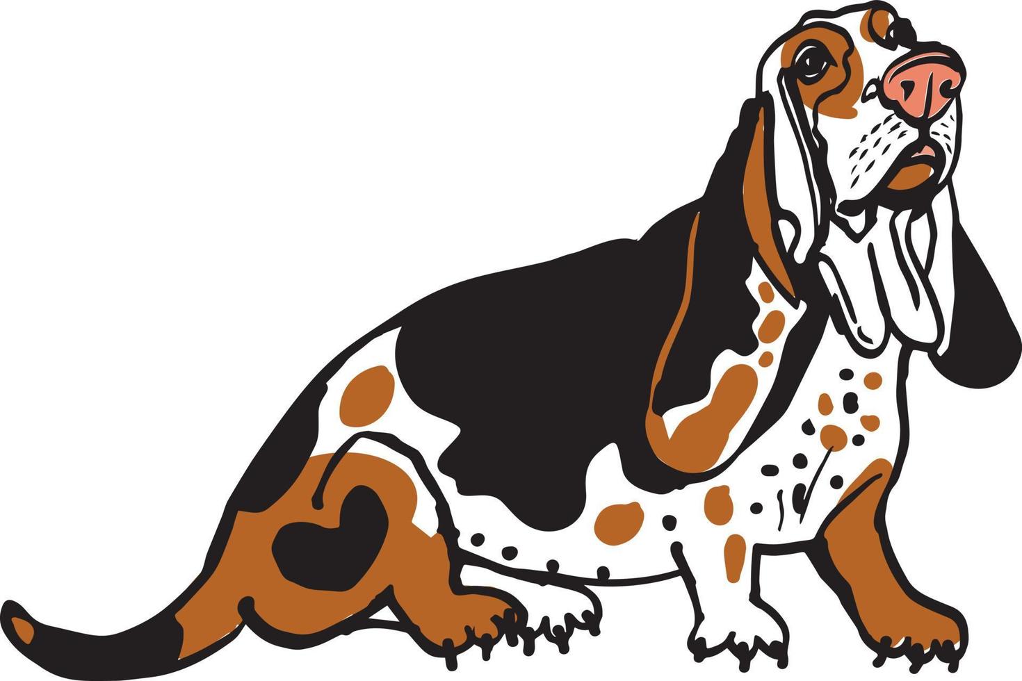 illustration de vecteur de dessin animé coloré de mignon basset hound