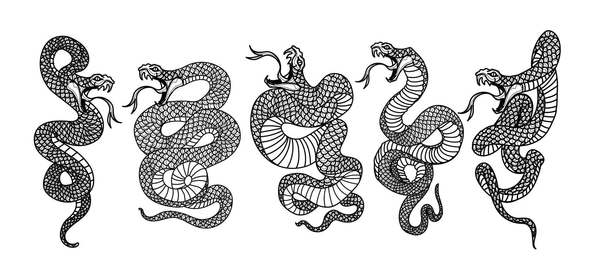 tatouage art serpent ensemble dessin et croquis noir et blanc vecteur