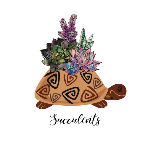 Un bouquet de plantes succulentes dans un pot de fleur sous la forme d&#39;une tortue. Graphiques et taches d&#39;aquarelle. Vecteur