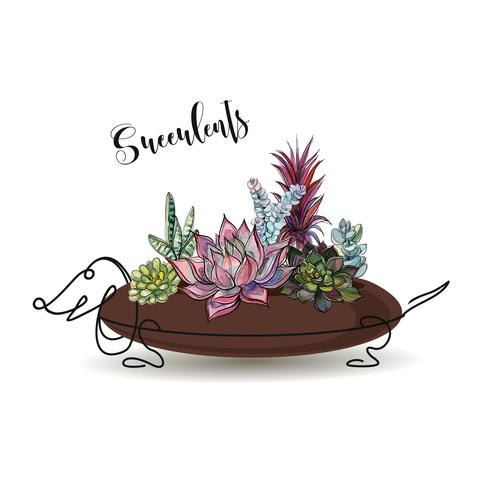 Succulentes. Composition de fleurs dans un pot de fleurs sous la forme d&#39;un chien Teckel. Graphique. Aquarelle. Vecteur. vecteur