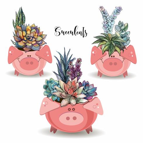 Arrangement de fleurs de plantes succulentes. Dans des pots amusants en forme de cochons. Illustration vectorielle vecteur