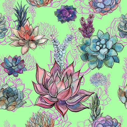 Modèle d&#39;aquarelle de fleurs succulentes. vecteur