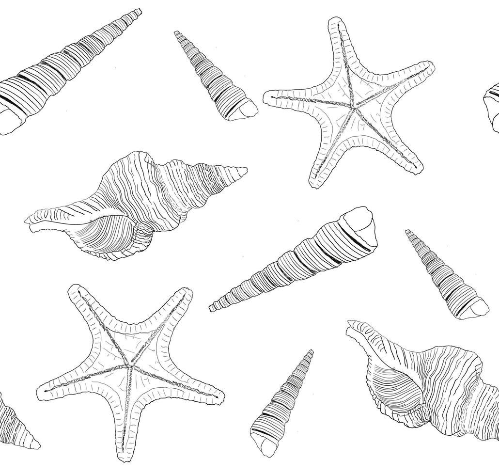 motif marin avec coquillages et étoiles de mer. illustration vectorielle vecteur