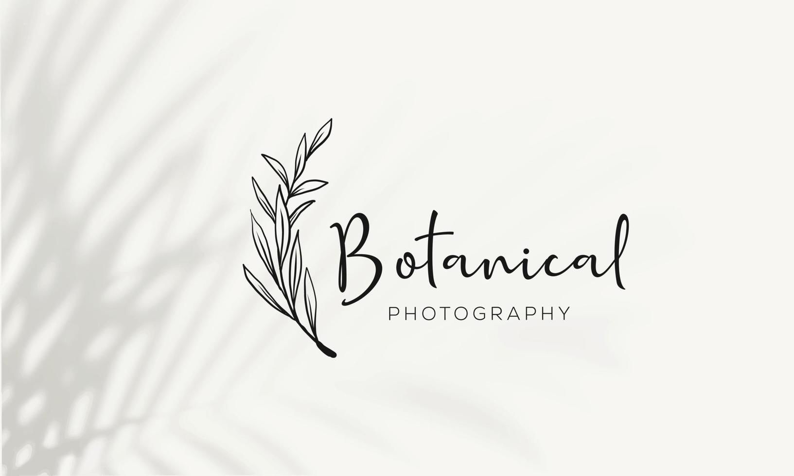 logo dessiné à la main d'élément floral botanique avec fleur et feuilles sauvages. logo pour spa et salon de beauté, boutique, magasin bio, mariage, designer floral, intérieur, photographie, cosmétique. vecteur