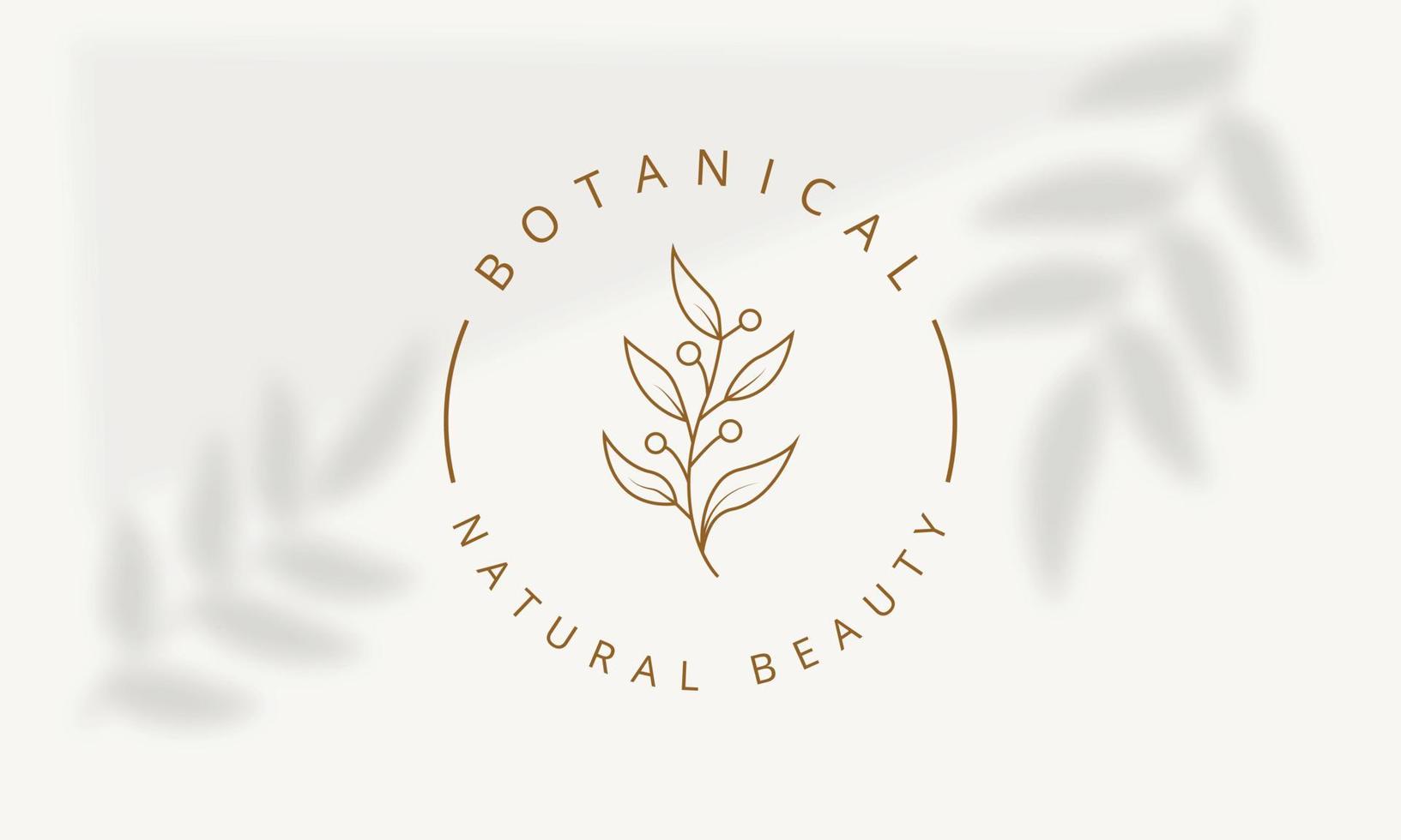 logo dessiné à la main d'élément floral botanique avec fleur et feuilles sauvages. logo pour spa et salon de beauté, boutique, magasin bio, mariage, designer floral, intérieur, photographie, cosmétique. vecteur