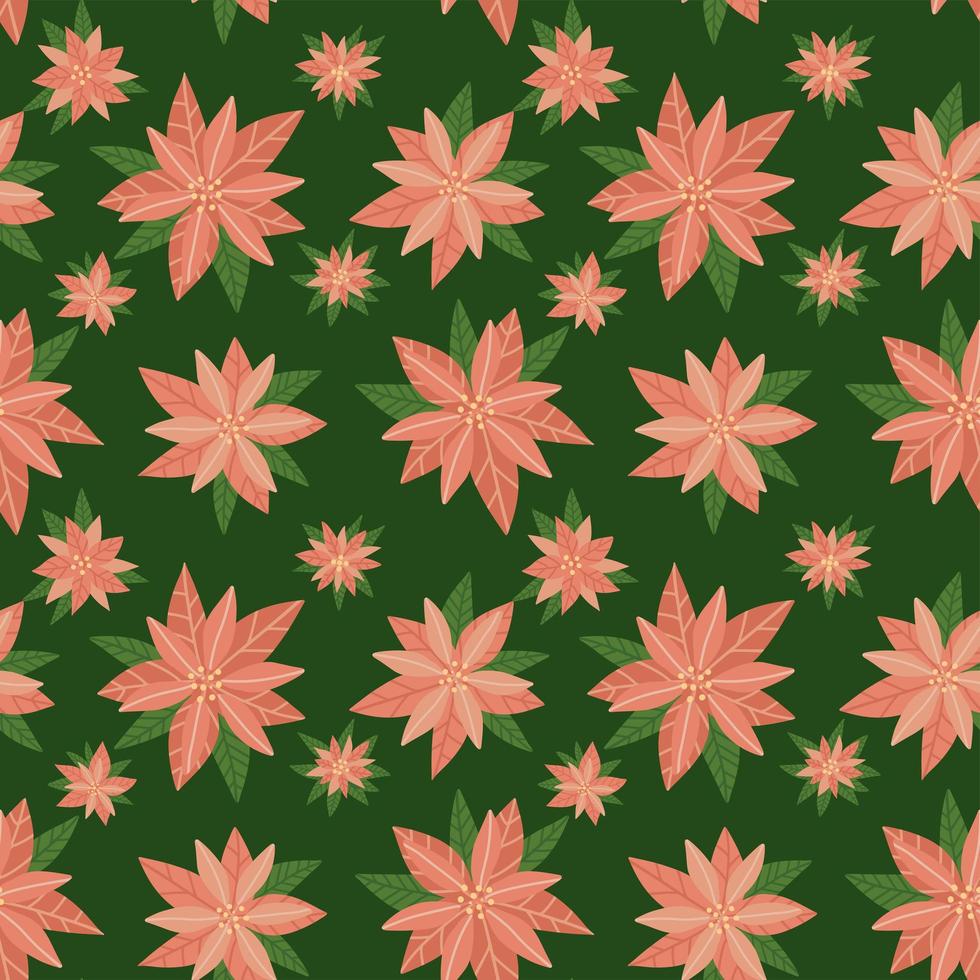 modèle sans couture de noël poinsettia. fond de noël de vacances florales à la mode. imprimé botanique uniquement avec des fleurs d'hiver sur fond vert. illustration vectorielle plane. vecteur