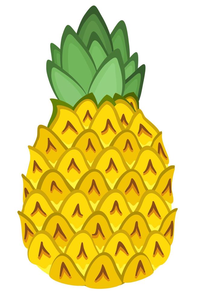 illustration vectorielle isolée d'ananas vecteur