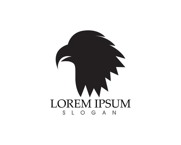 Icônes vectorielles Falcon Eagle Bird Logo Template vecteur