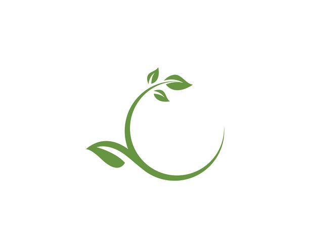 modèle de logo et symbole nature feuille verte vecteur