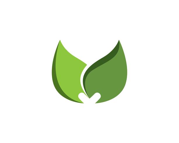 modèle de logo et symbole nature feuille verte vecteur