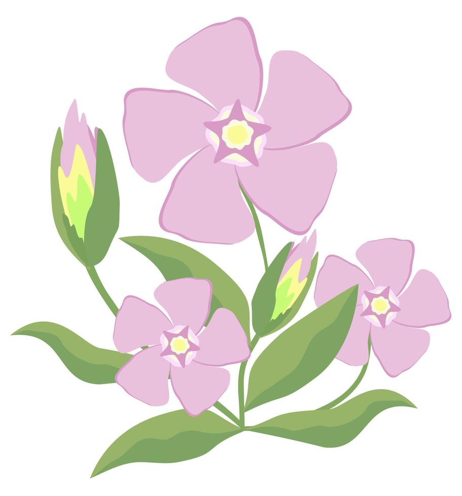illustration vectorielle isolée de fleur de pervenche dans des couleurs pastel claires vecteur