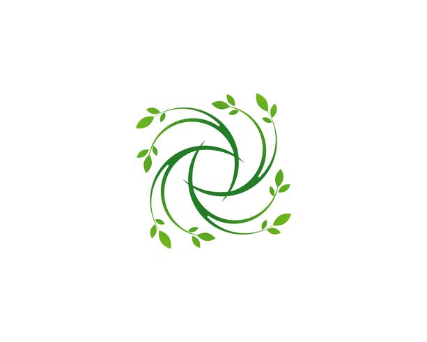 modèle de logo et symbole nature feuille verte vecteur