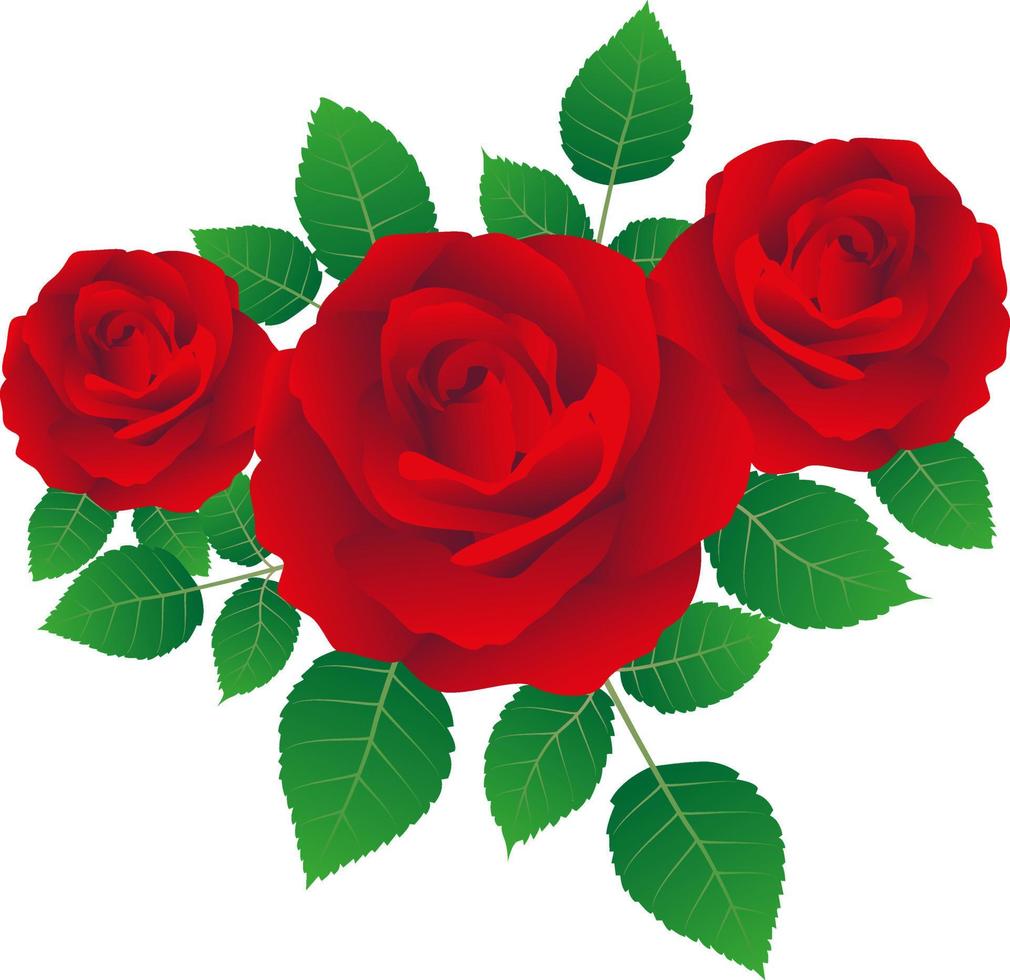 rose rouge dessin illustration par dessin vectoriel