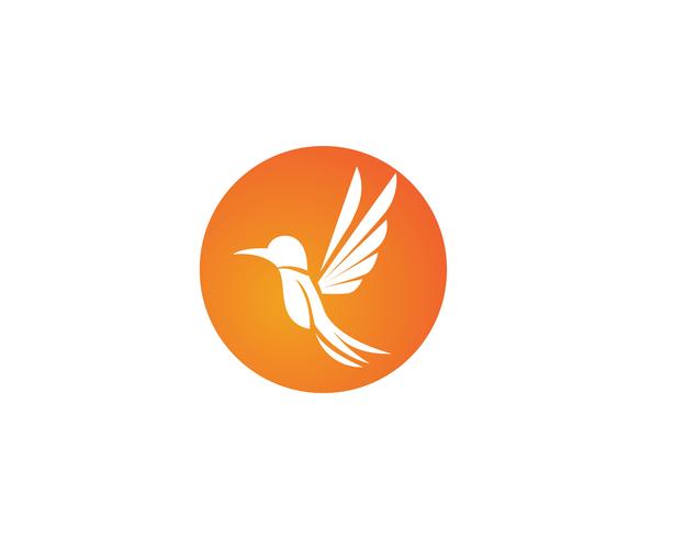 Colibri icône logo et symboles template vecteur